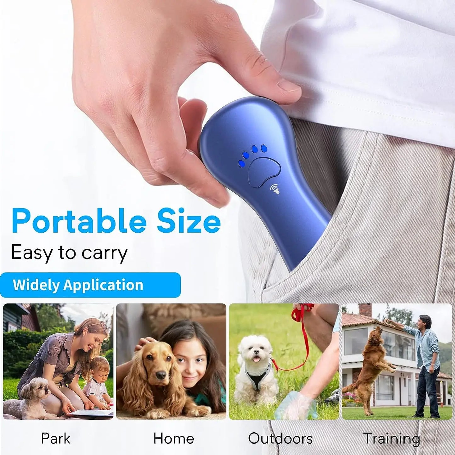 Pet Ultrasound