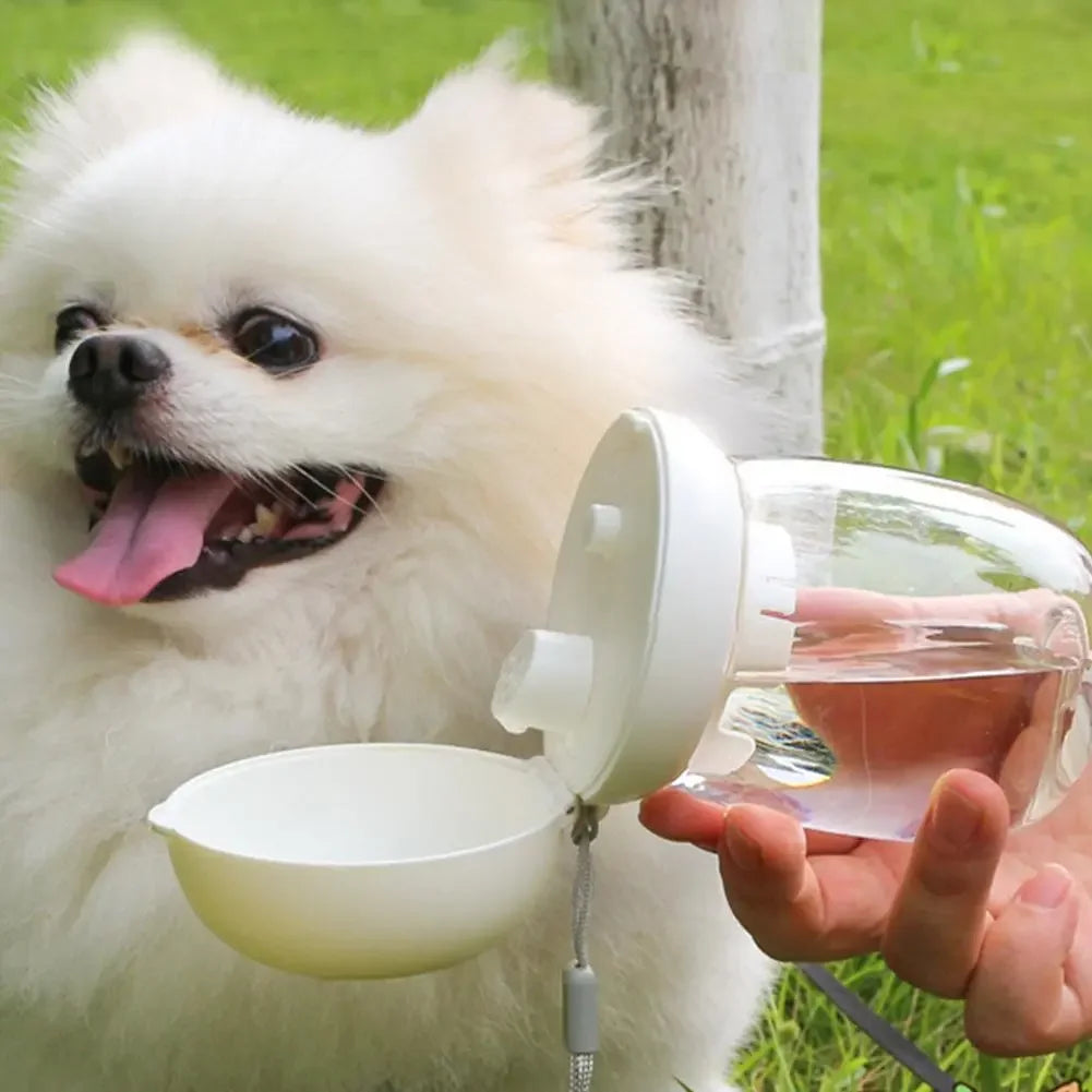Pet Water Bottle