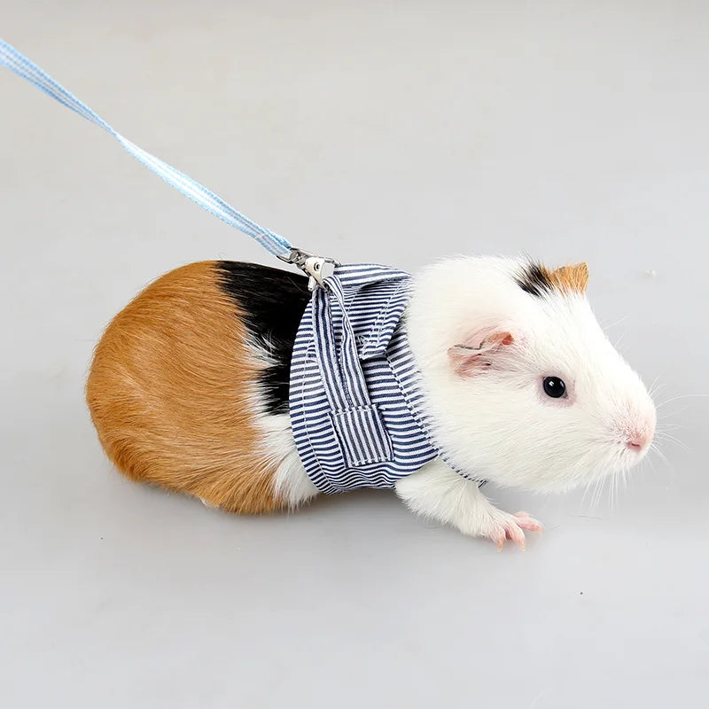 Hamster Harness Leash