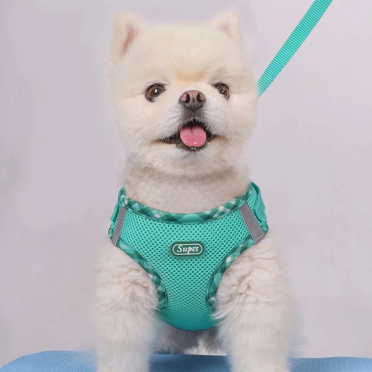 Dog Harness