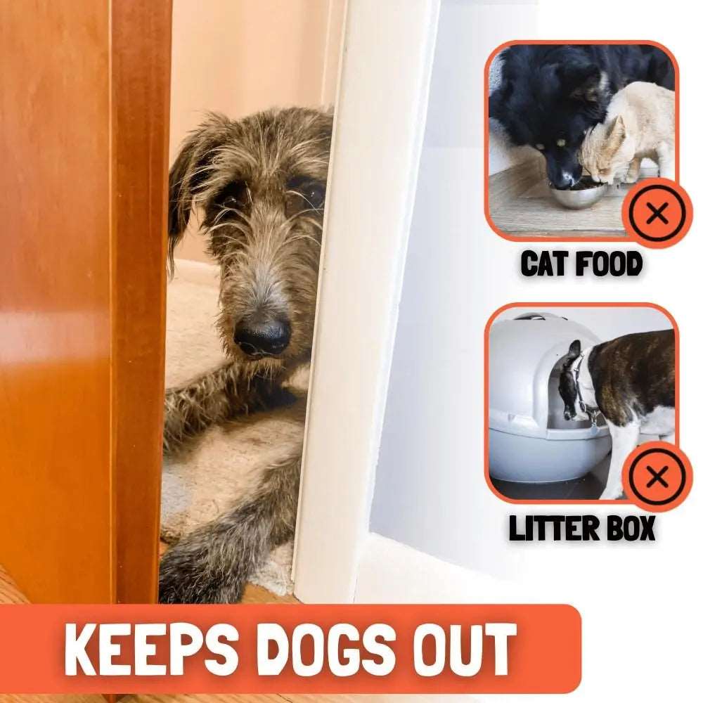 pet Door Latch