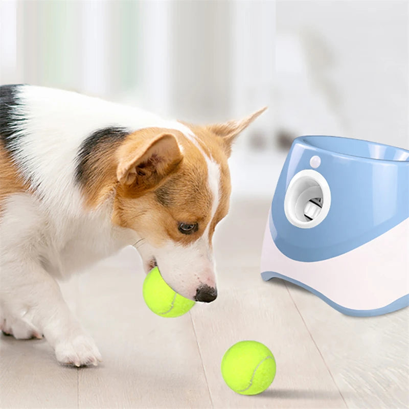 Dog Tennis Launcher Automatic