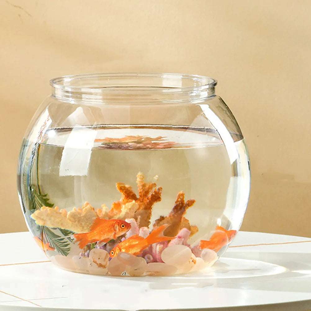 Ornamental Fish Tank