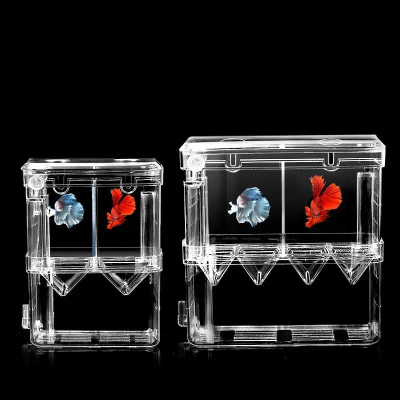 Fish Aquarium Acrylic