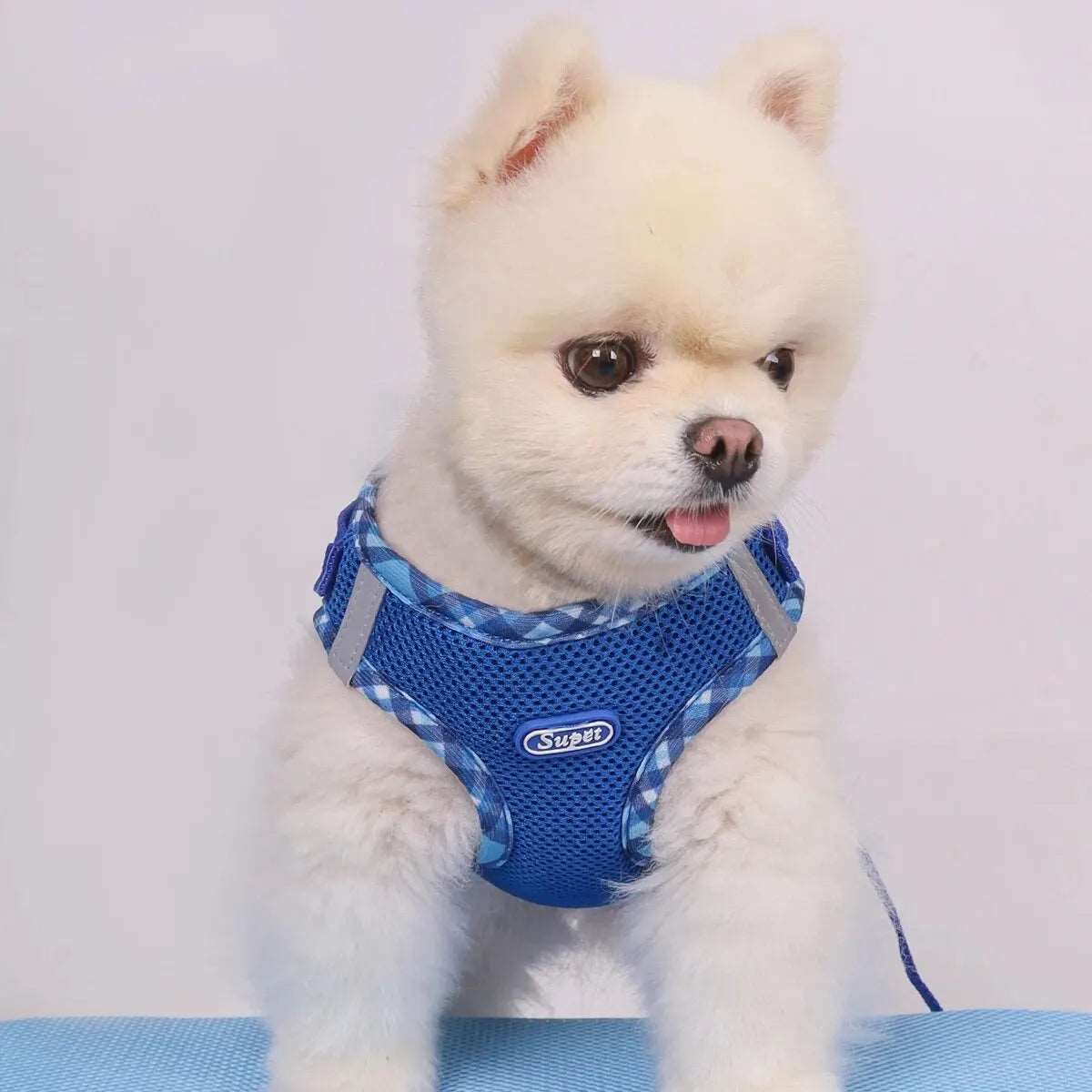 Dog Harness