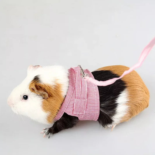 Hamster Harness Leash