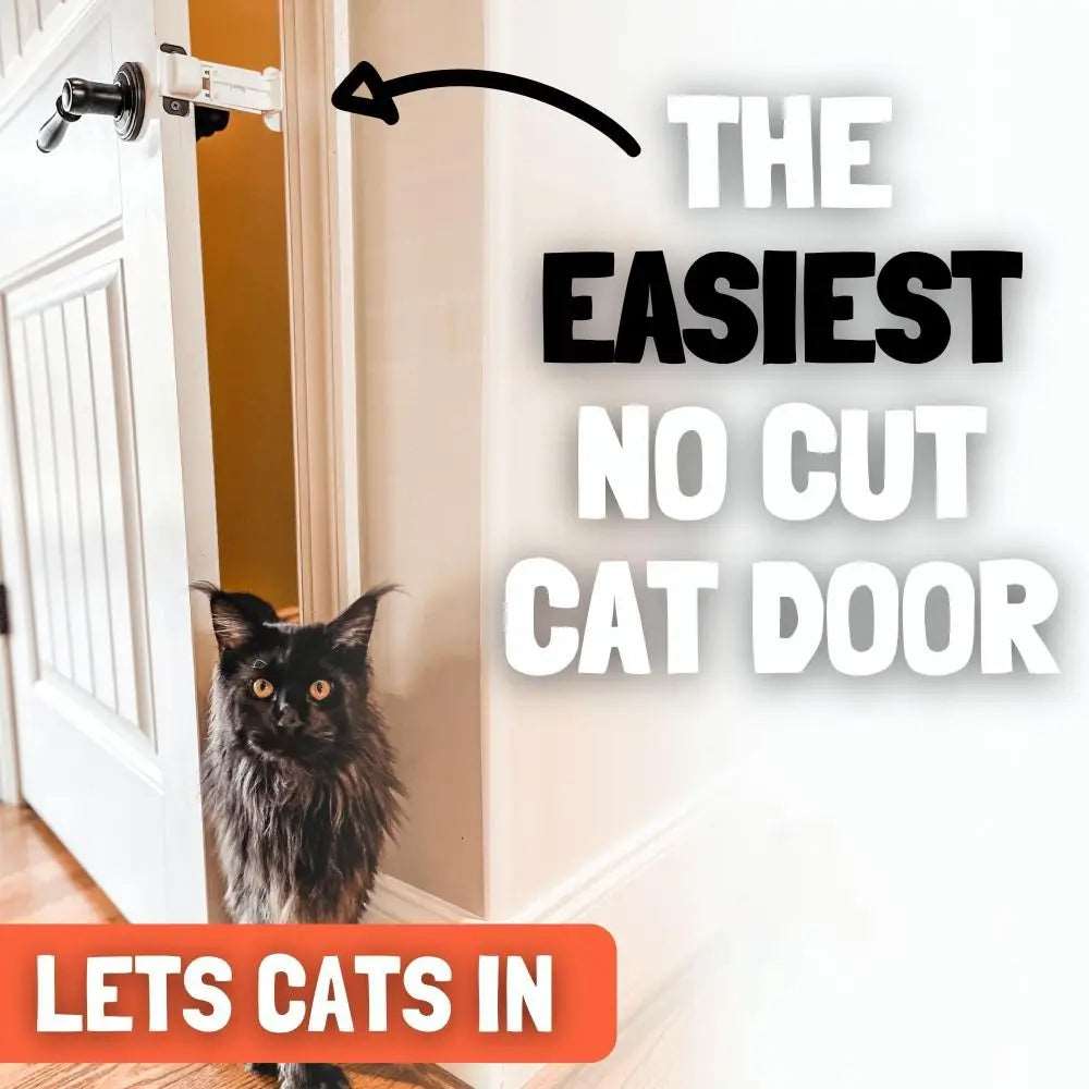 pet Door Latch