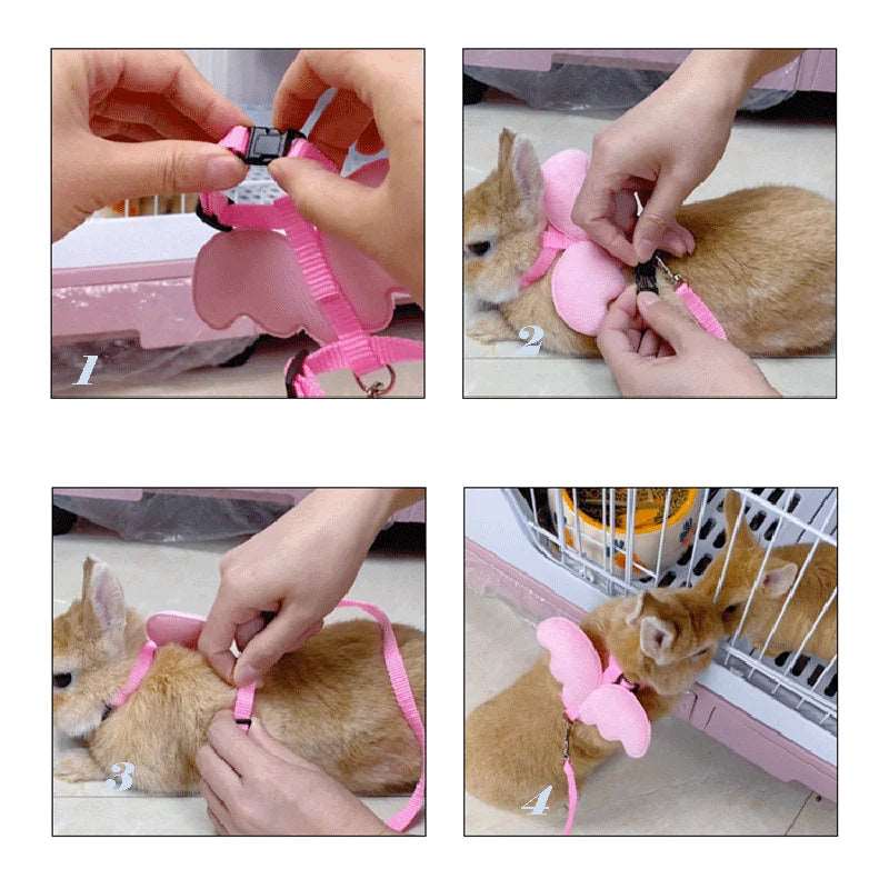 Angel Wing Rabbit Harness