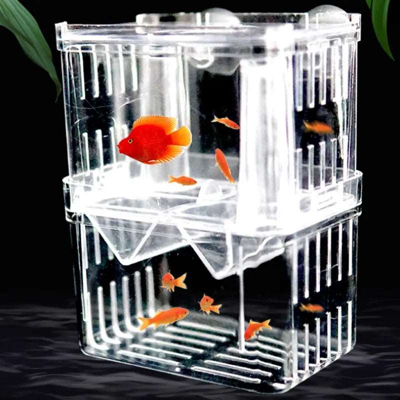 Fish Aquarium Acrylic
