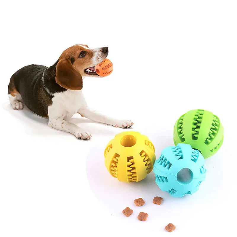 Food Ball Toy