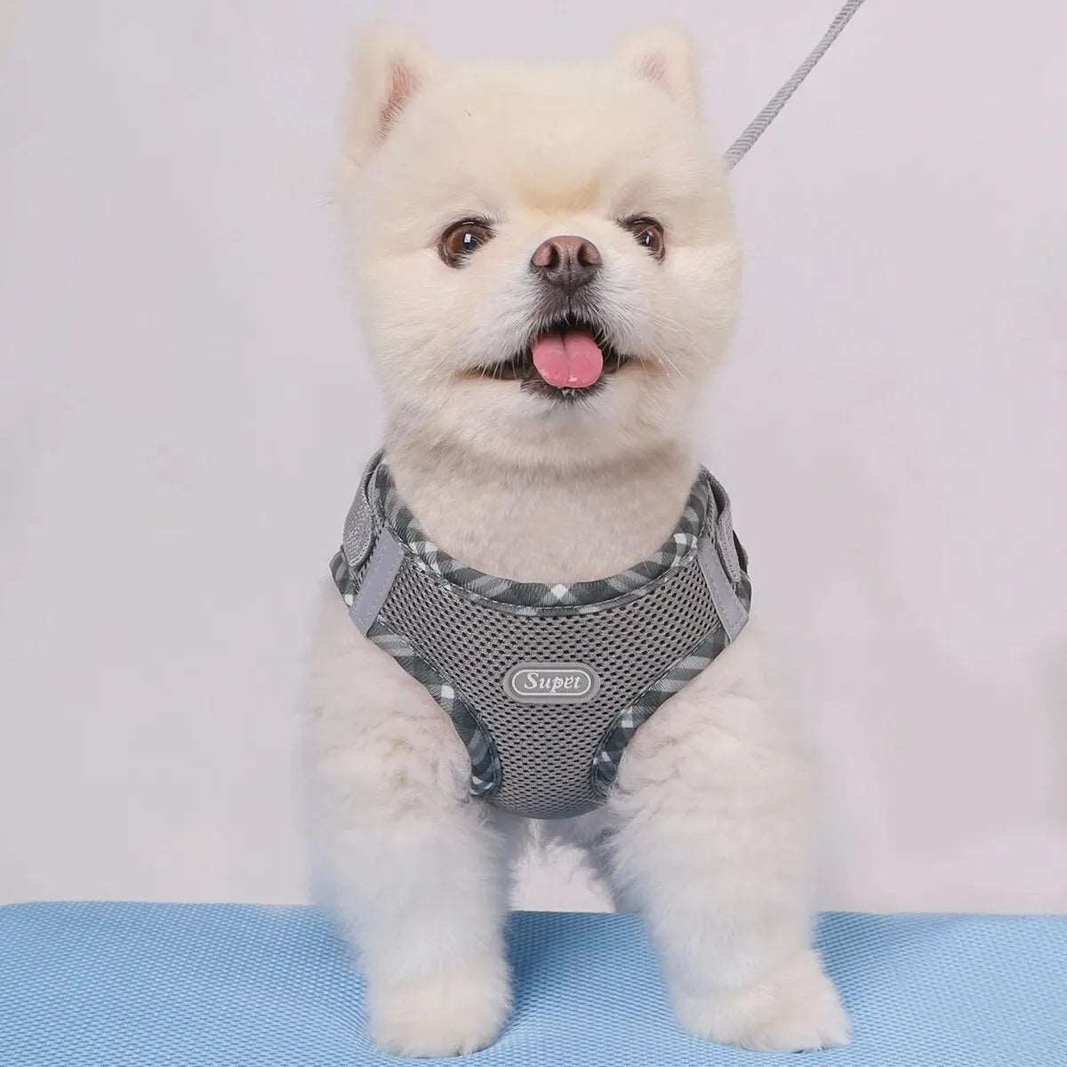 Dog Harness