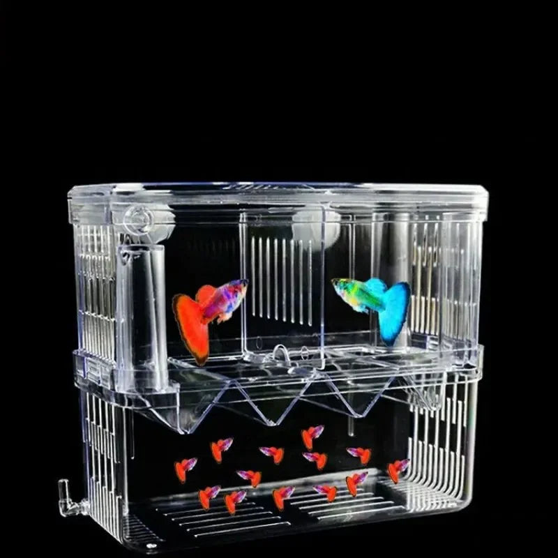Fish Aquarium Acrylic