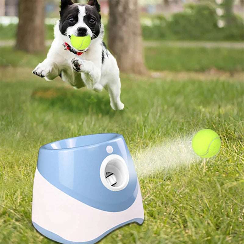 Dog Tennis Launcher Automatic