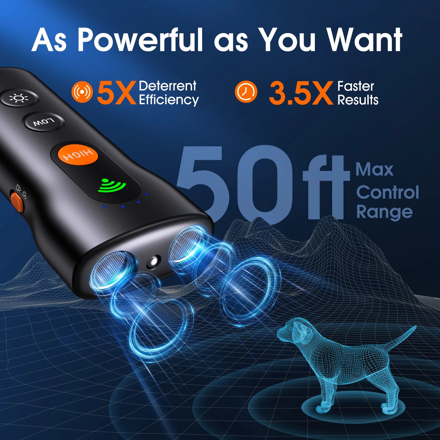 Puppy Ultrasound