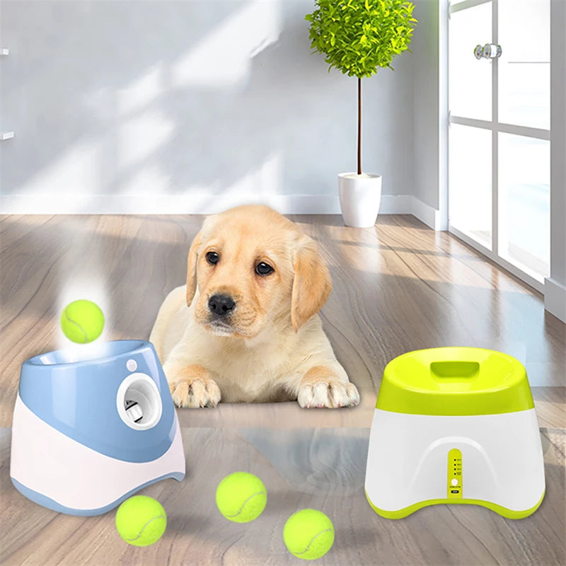 Dog Tennis Launcher Automatic