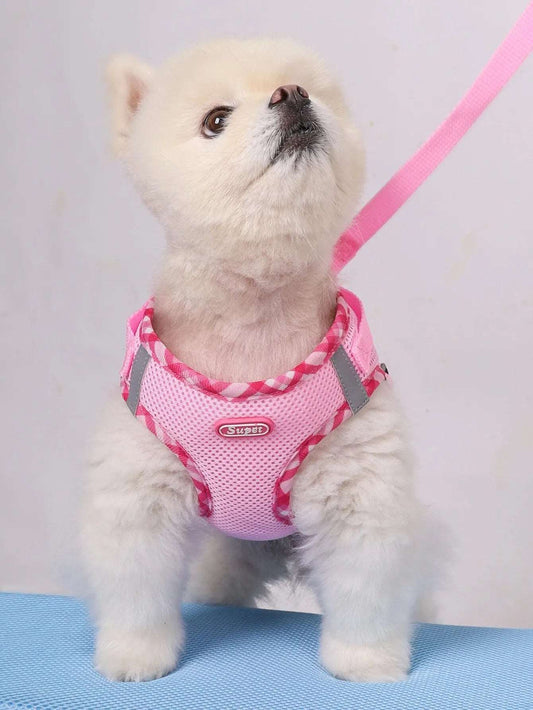 Dog Harness