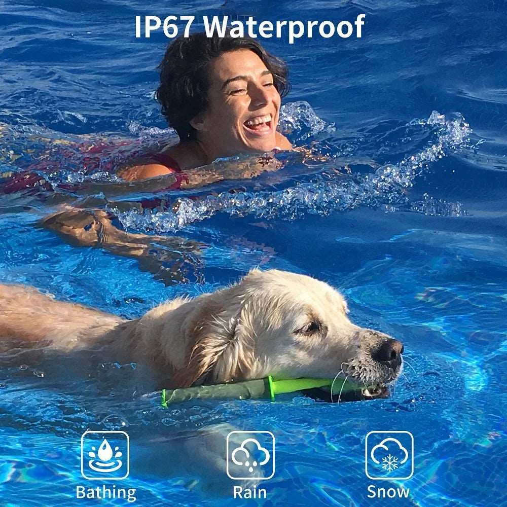 Pet Electro Shocker