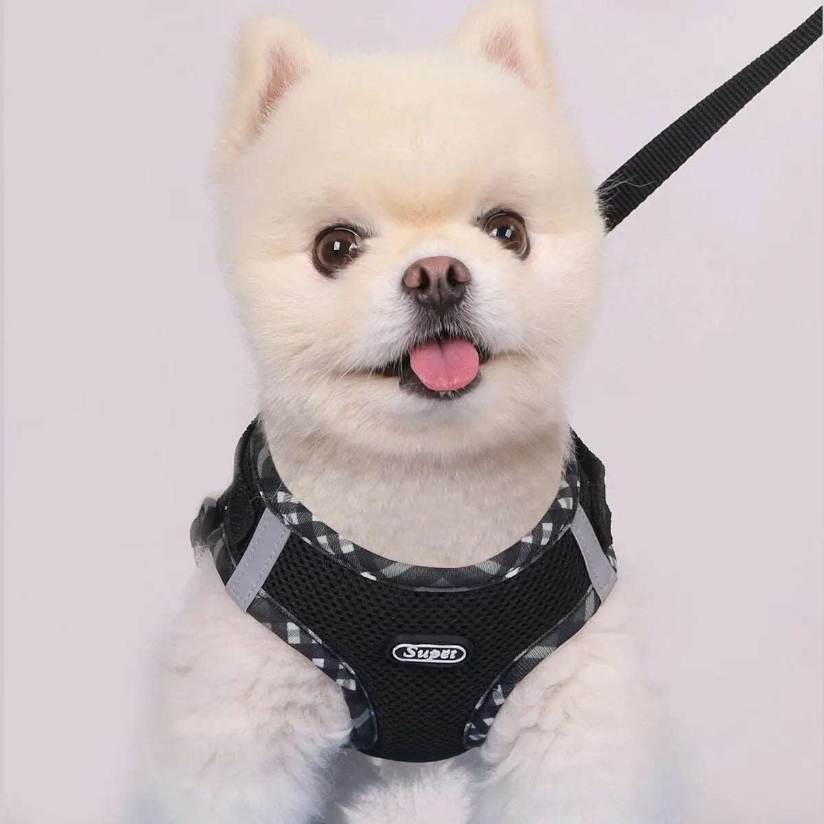 Dog Harness