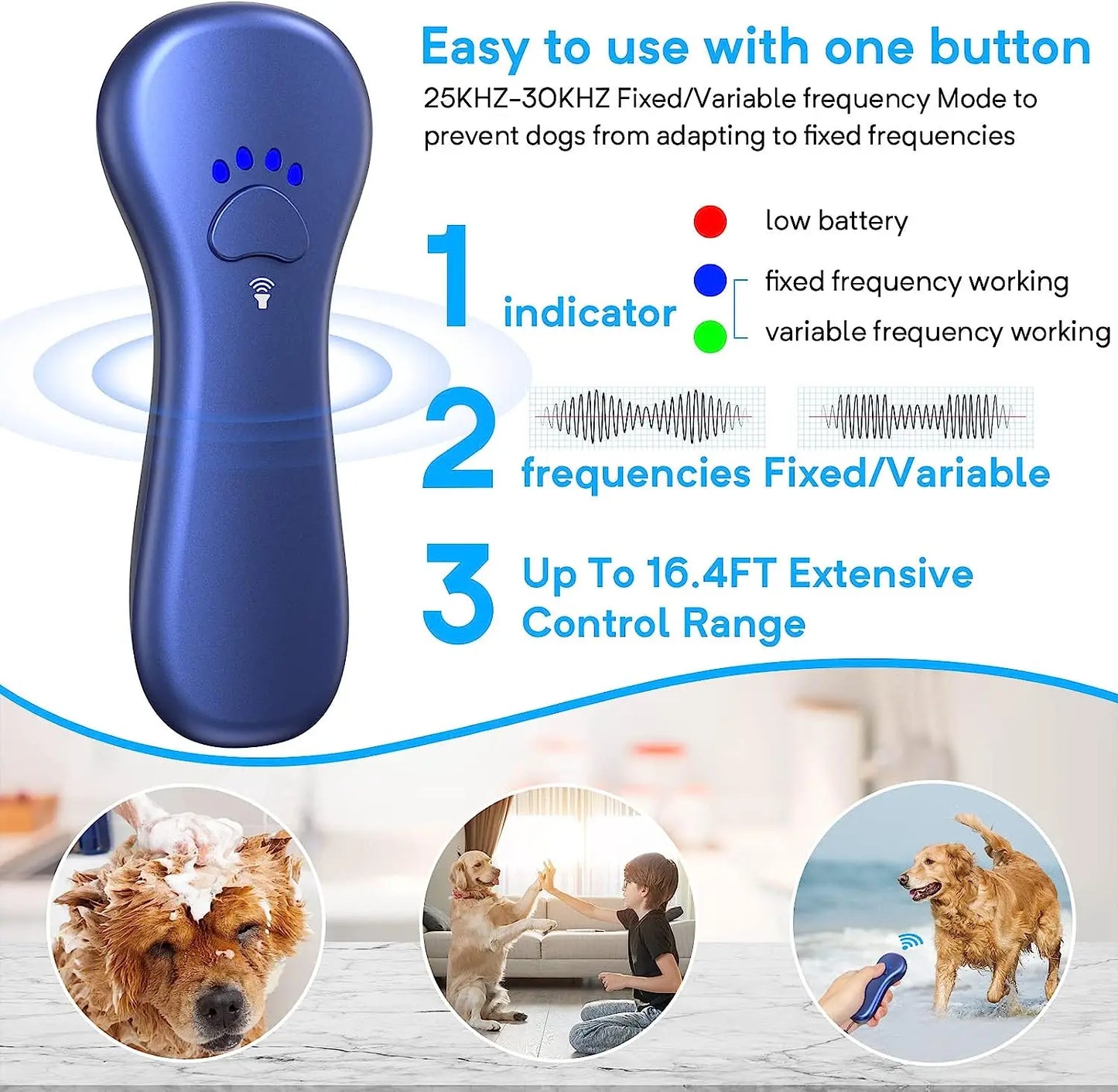 Pet Ultrasound