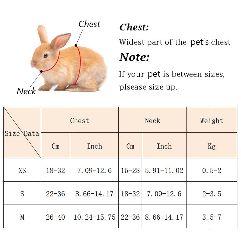 Angel Wing Rabbit Harness