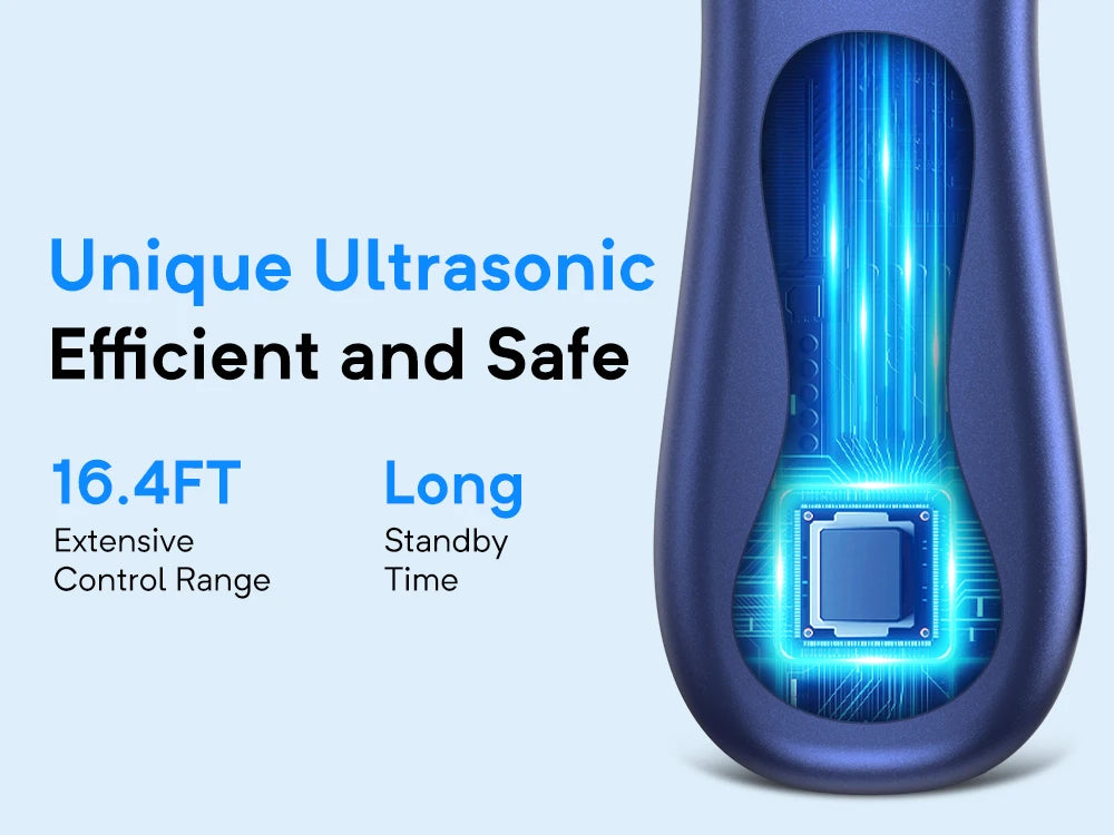 Pet Ultrasound