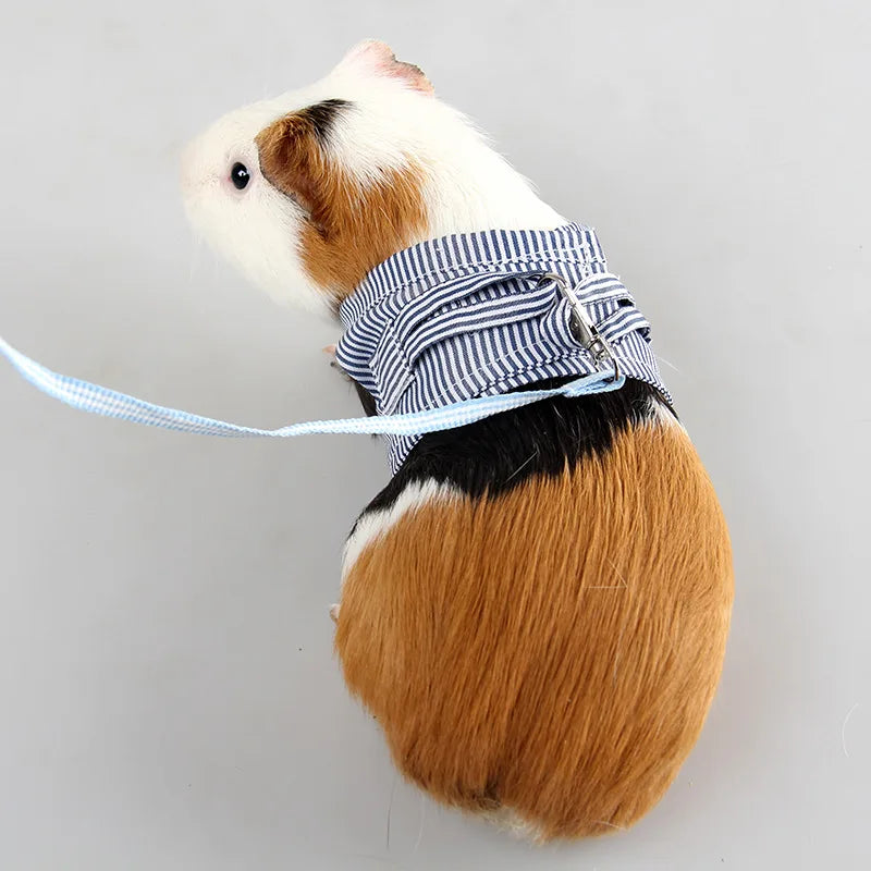 Hamster Harness Leash