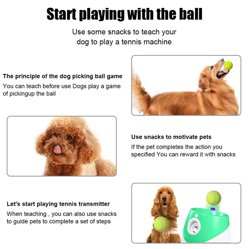Dog Tennis Launcher Automatic