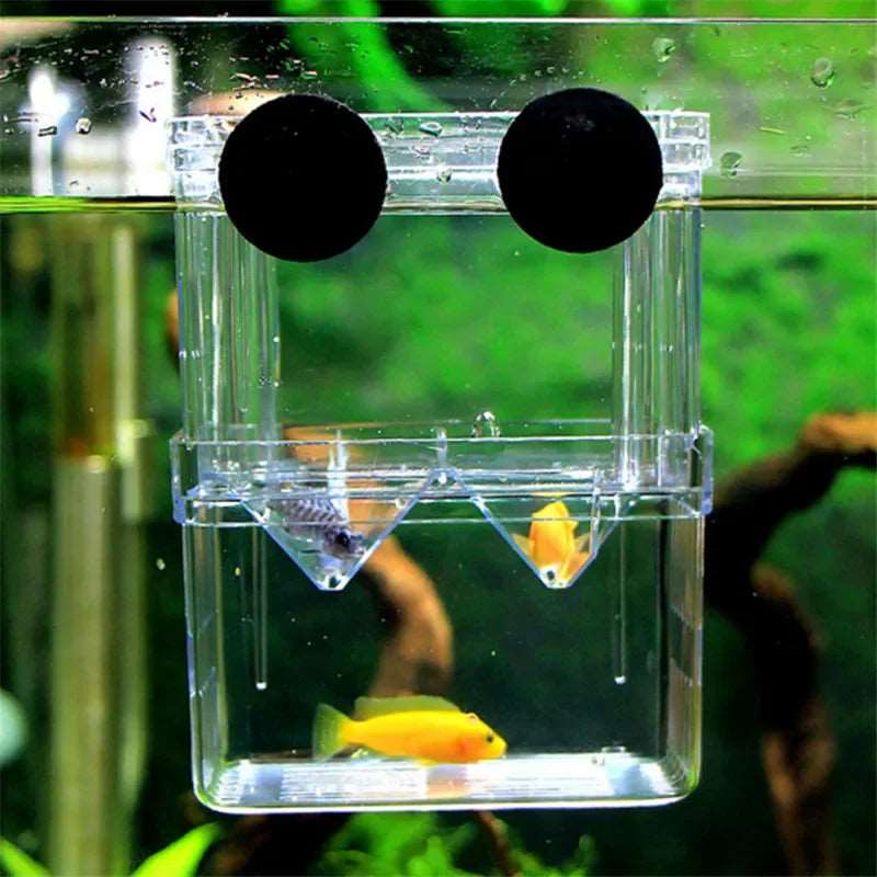 Fish Aquarium Acrylic