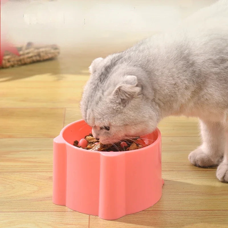 Cat Food Bowl