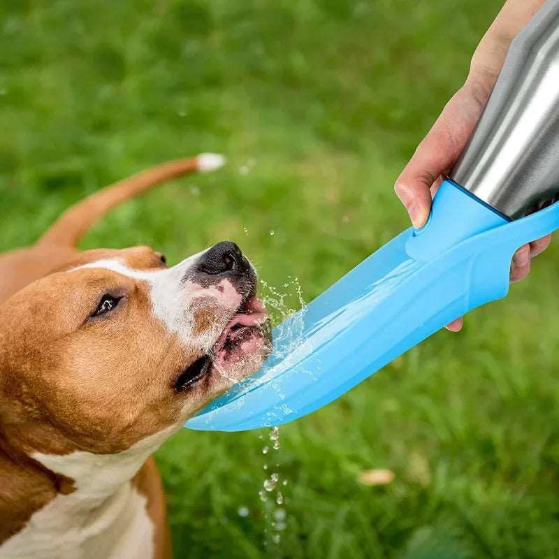 Outdoor Portable Dog Water Bowl