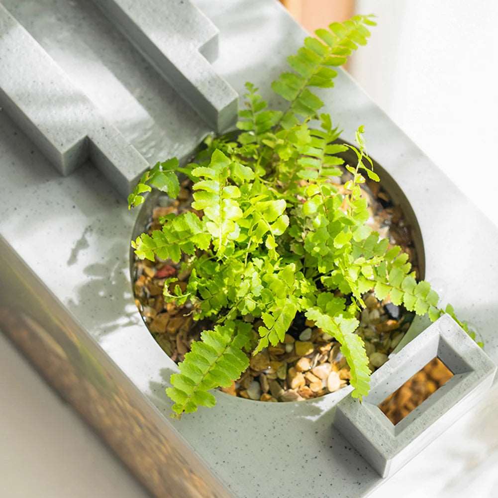 Creative Small Aquarium Fish Tank